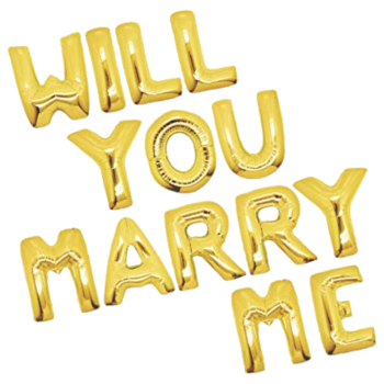 Will you Marry me 