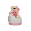 Diaper Cake Teddy Bear Girl Star +50,00€